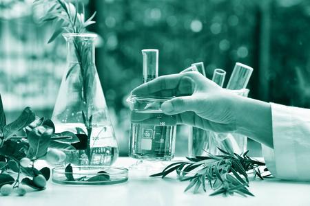 另类小说中草药植物分析,天然有机植物学药物研发,科学家手捧香精玻璃